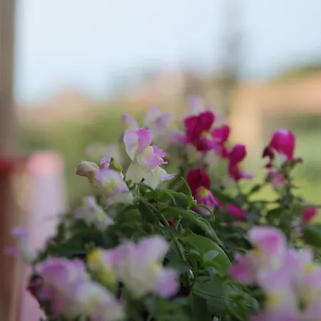 Lo Scoglio Della Sirena Apartmán Agrigento